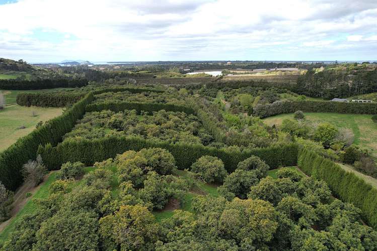 192 Woodland Road Katikati_5