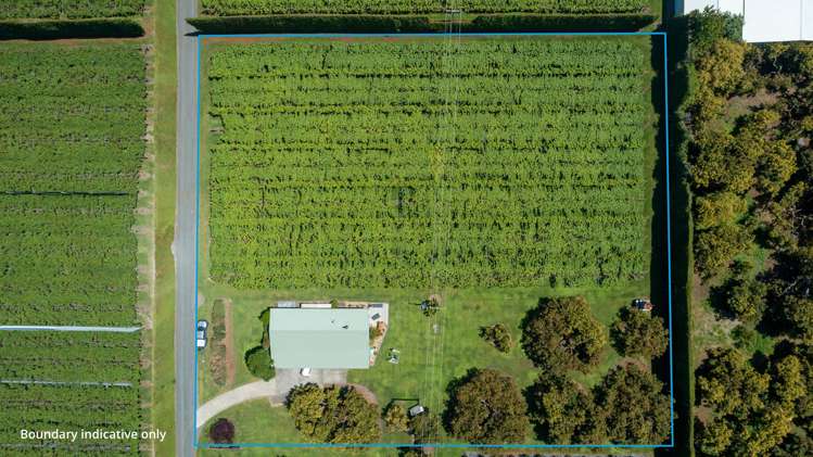 154B Wairoa Road Te Puna_2