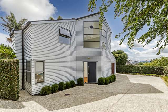 20a Killarney Street Takapuna_4