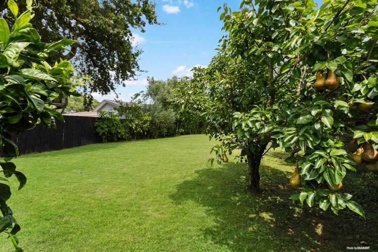 10 Jefferson Street Glendowie_15