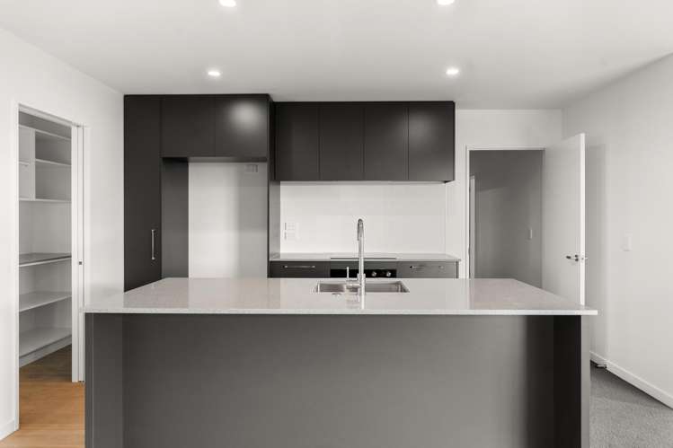 163 Ed Hillary Drive_3