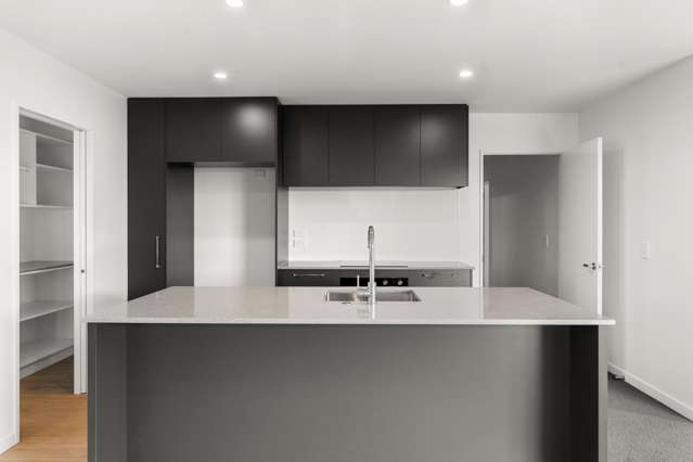 163 Ed Hillary Drive Rolleston_3