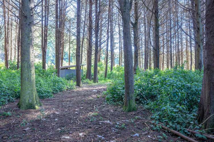 358 Kuku East Road Manakau_7