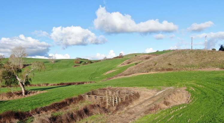 Waitomo Caves Road_4
