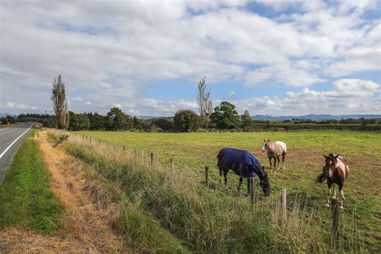 38 Blackett Road Whatawhata_28