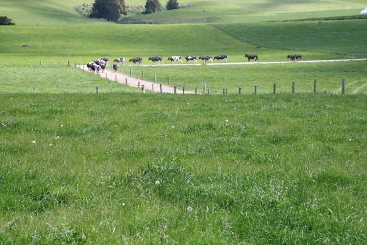 178 Omahuru Road Okaiawa_0