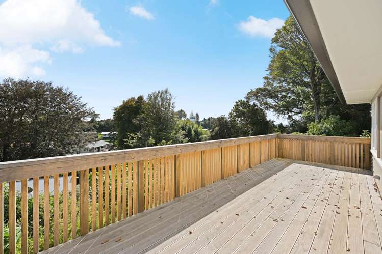 805 Kihikihi Road Te Awamutu_13