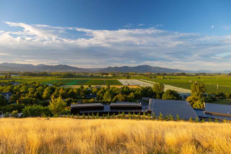 166 Dry Hills Lane Riverlands_6