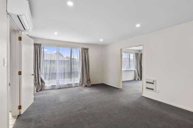2A Corfe Street Ilam_1
