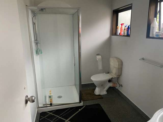 71 Margan Avenue New Lynn_4