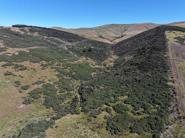 201 Sheepwash Creek Road Ardlussa_10