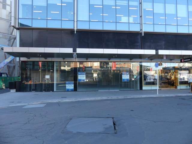 161 Cashel Street City Centre_3