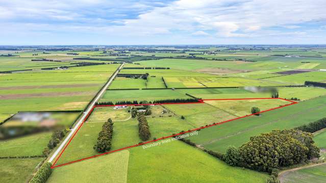 So Much Potential Here