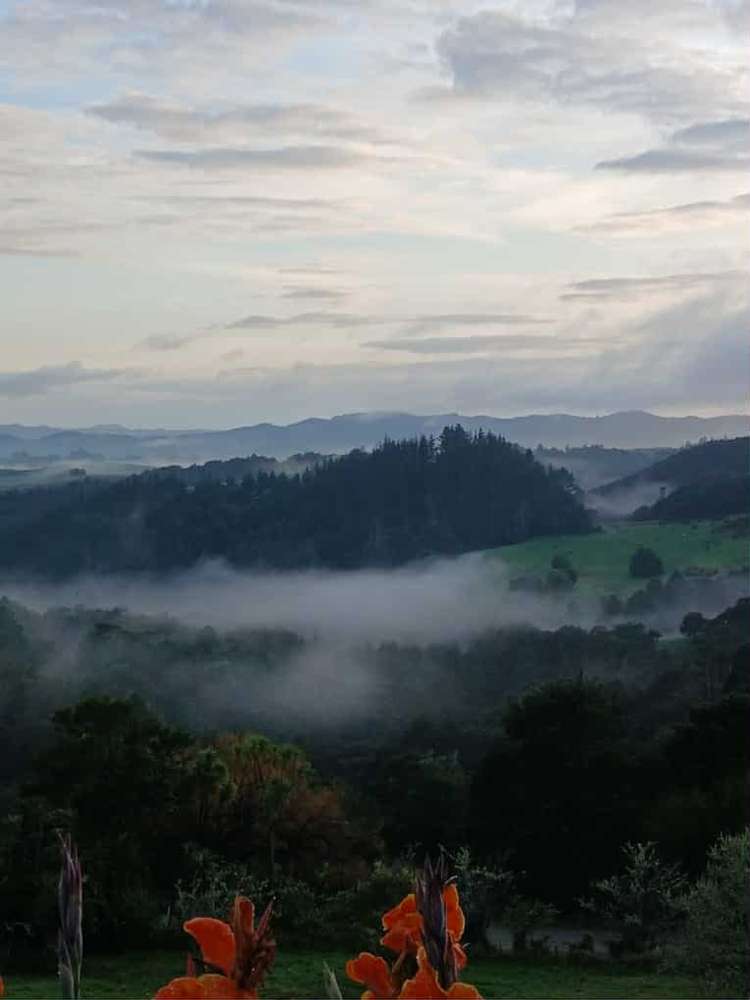 945 Springfield Road Springfield_21