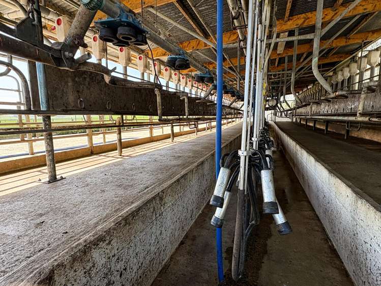 539. Mataura Island Fortrose Road Pine Bush_16