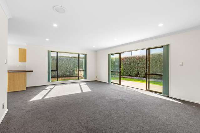 46a Plunket Street Spreydon_4