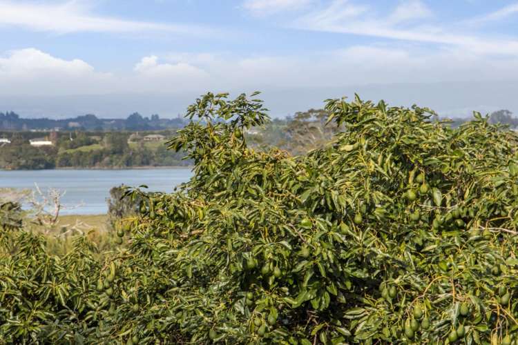 275 Athenree Road Katikati_18