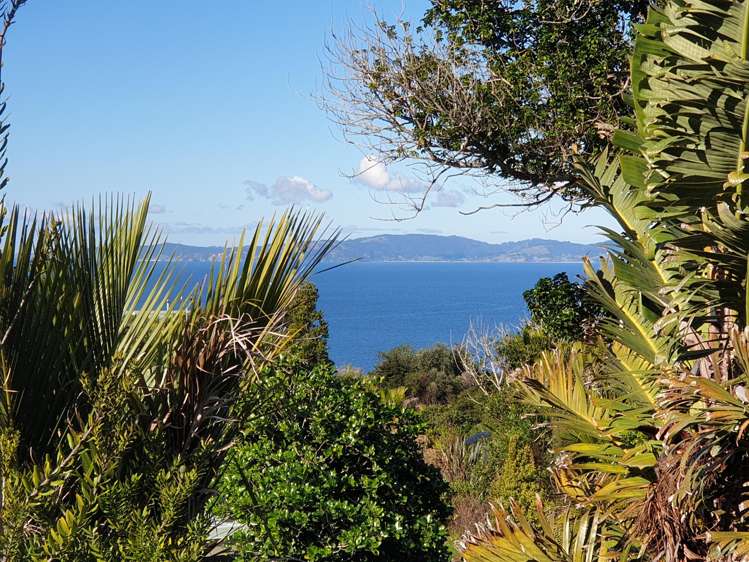 15 Puriri Place, Tuateawa_43