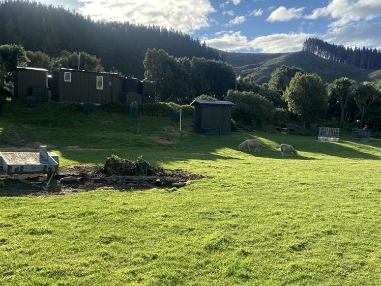 5 Mcgregor Lane Ashburton_10