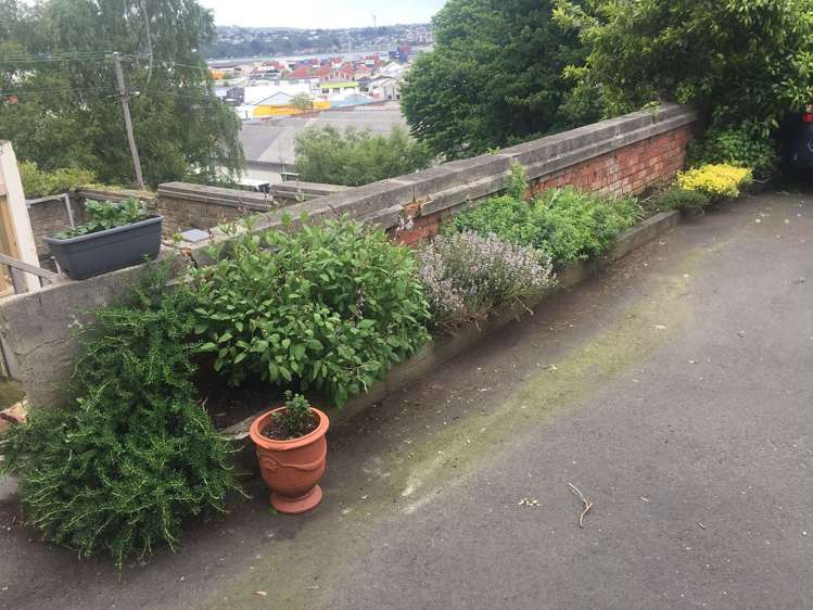 3/53 Manor Place Dunedin Central_12