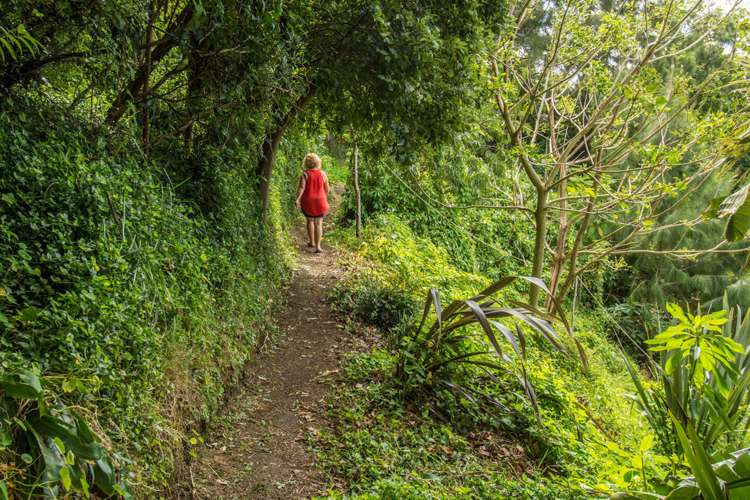 89 Whakamarama Road Whakamarama_23