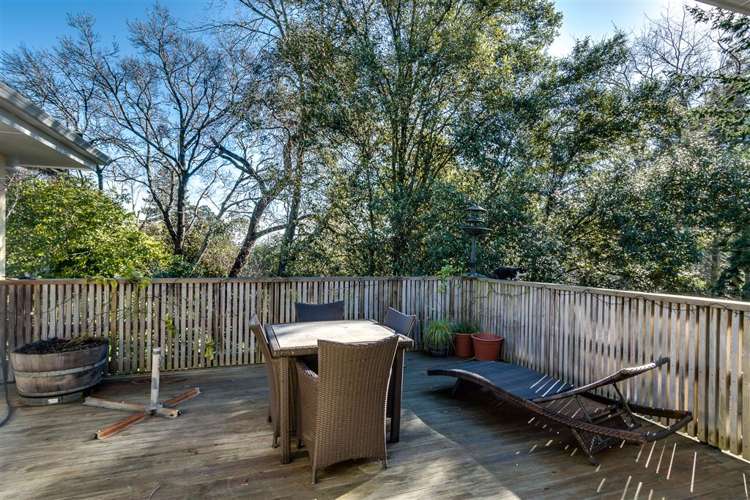 15a Awarua Crescent Havelock North_8