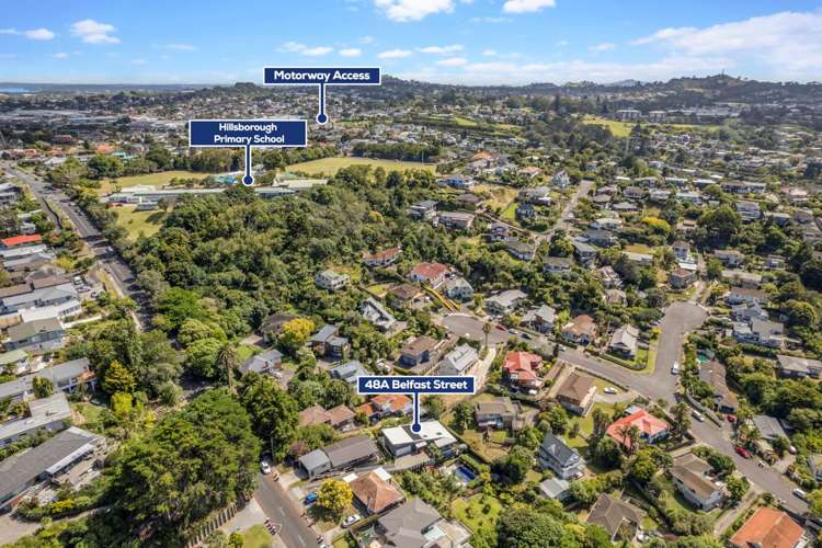 48a Belfast Street Hillsborough_22