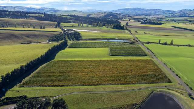 337 Mackenzies Road Waipara_3