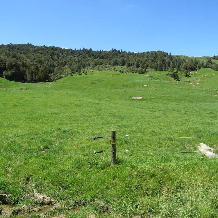 Kahuwera Road Piopio_14