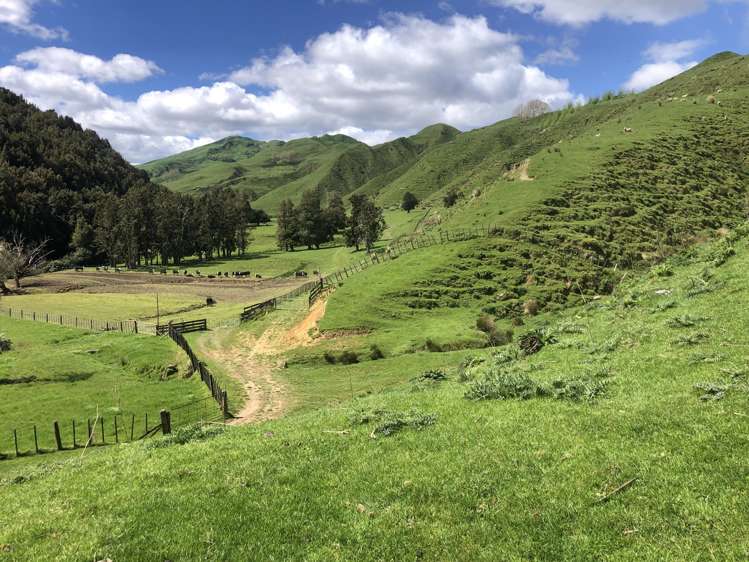 1041 Paparoa Road Whanganui National Park_23