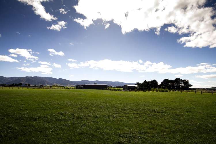 490 Maharahara Road Dannevirke_16