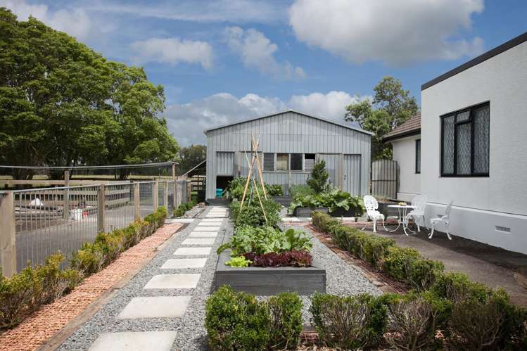 1099 State Highway 23 Whatawhata_14