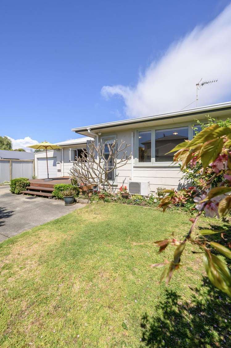 14B Campbell Road Mt Maunganui_2