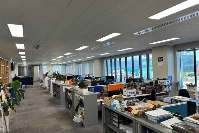 106 Jackson Street Petone_4