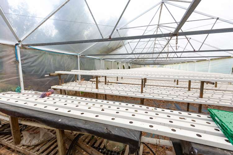 74 Beaver Road Pukekohe East_27