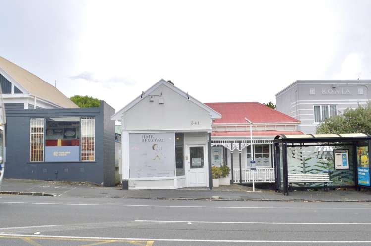 341 Dominion Road_0