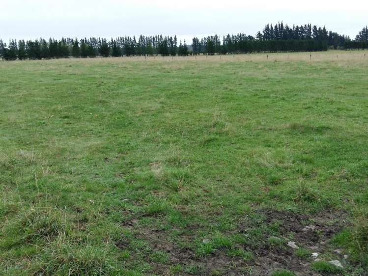 14 Kingfisher Lane Loburn_13