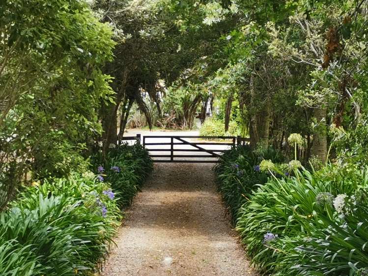 2239b State Highway 12 Paparoa_24
