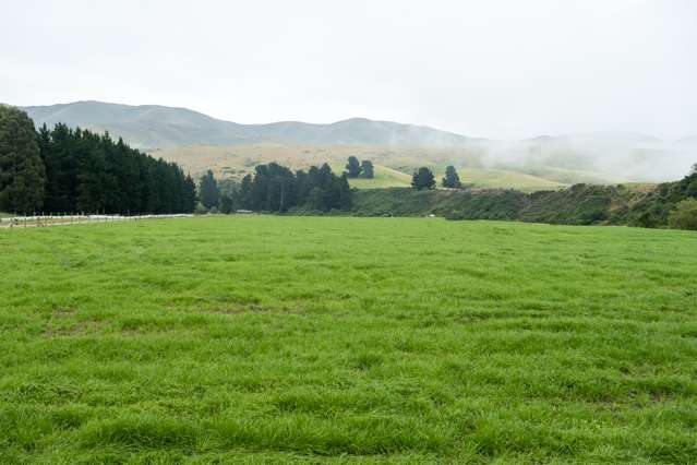 School Road Fairlie_3