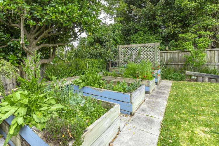 12 Nottingham Street Westmere_16