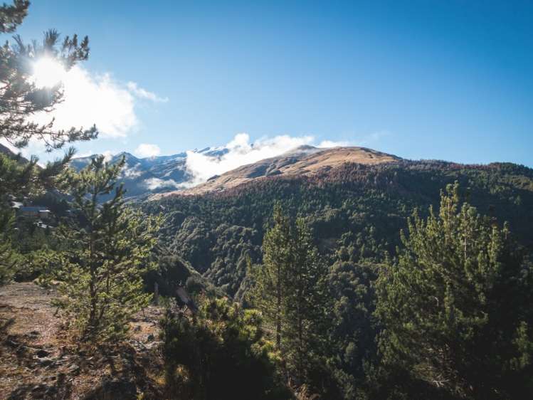 132 Alpine Retreat Road Ben Lomond_6