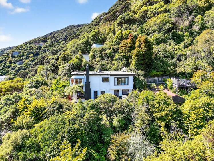 19 Karaka Street Eastbourne_40