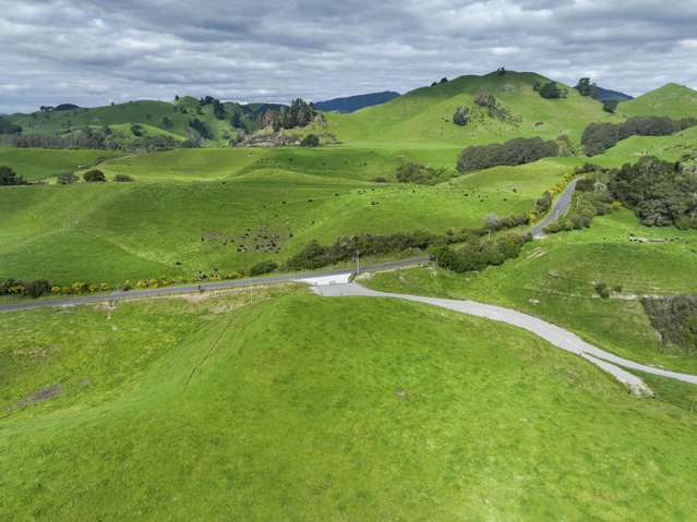 112A Puaiti Road Waikite Valley_3