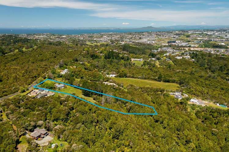 208 Albany Heights Road Albany Heights_17