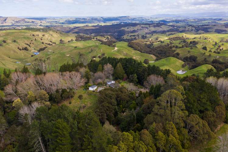 2938 Puketitiri Road Central Hawkes Bay Coastal_7