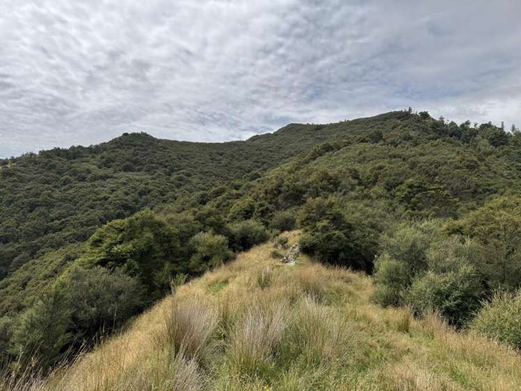Rakutangi Road Ruatiti_11