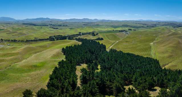 363 Caseys Road Blind River_3