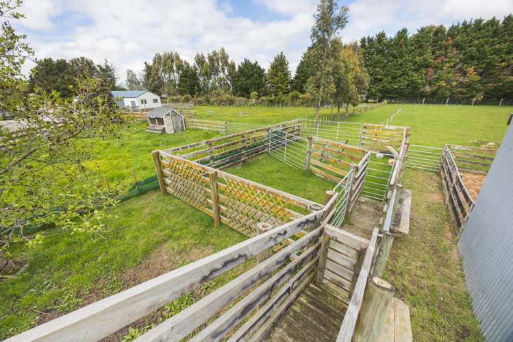 38B Grove Road Hiwinui_31