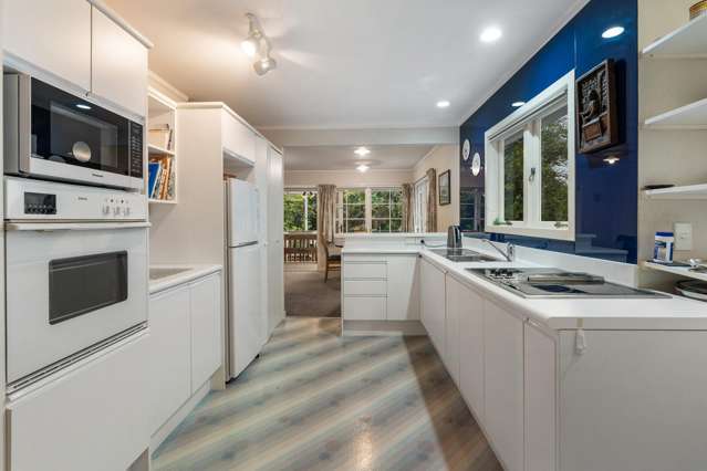 16 Mountain View Road Morningside_4