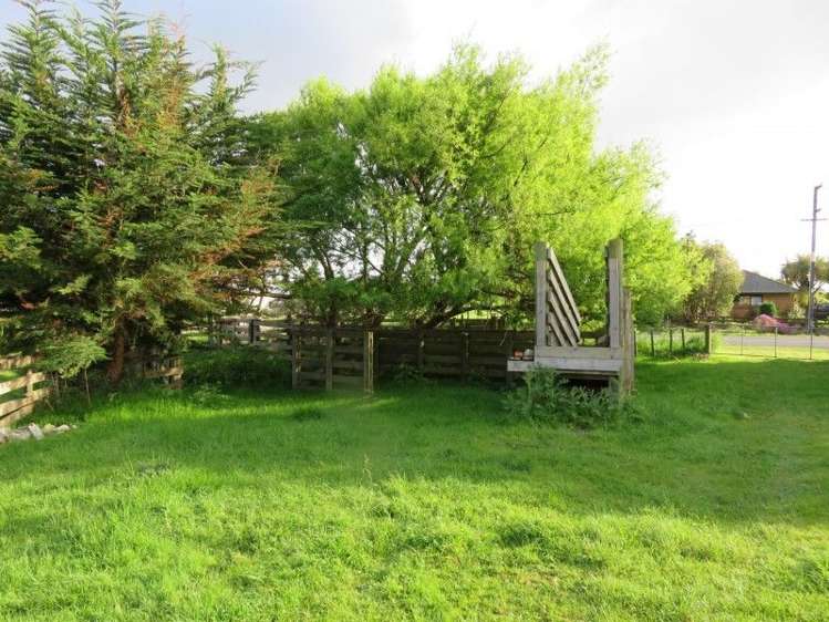 39 Brandon Hall Road Bulls_15